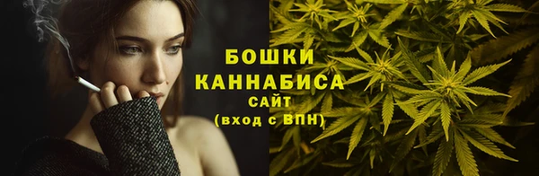 mdpv Каменка