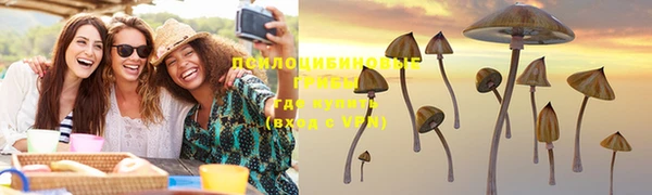 молекула духа Каменногорск