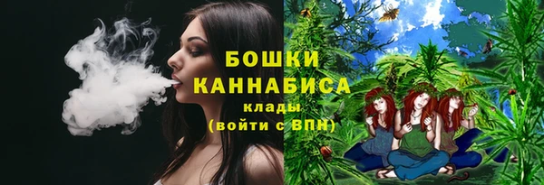молекула духа Каменногорск