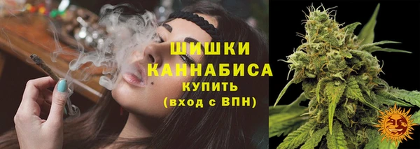 mdpv Каменка