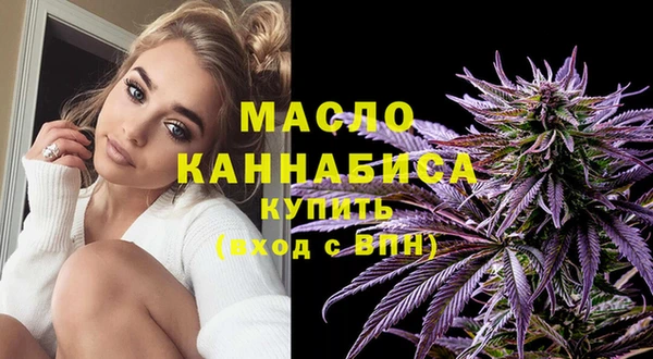 молекула духа Каменногорск