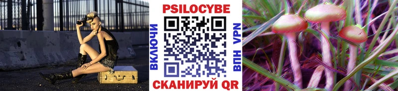 Псилоцибиновые грибы Cubensis Ершов
