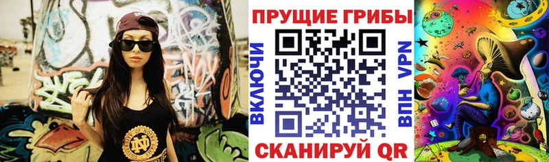 Купить где  Ершов  Галлюциногенные грибы Magic Shrooms 